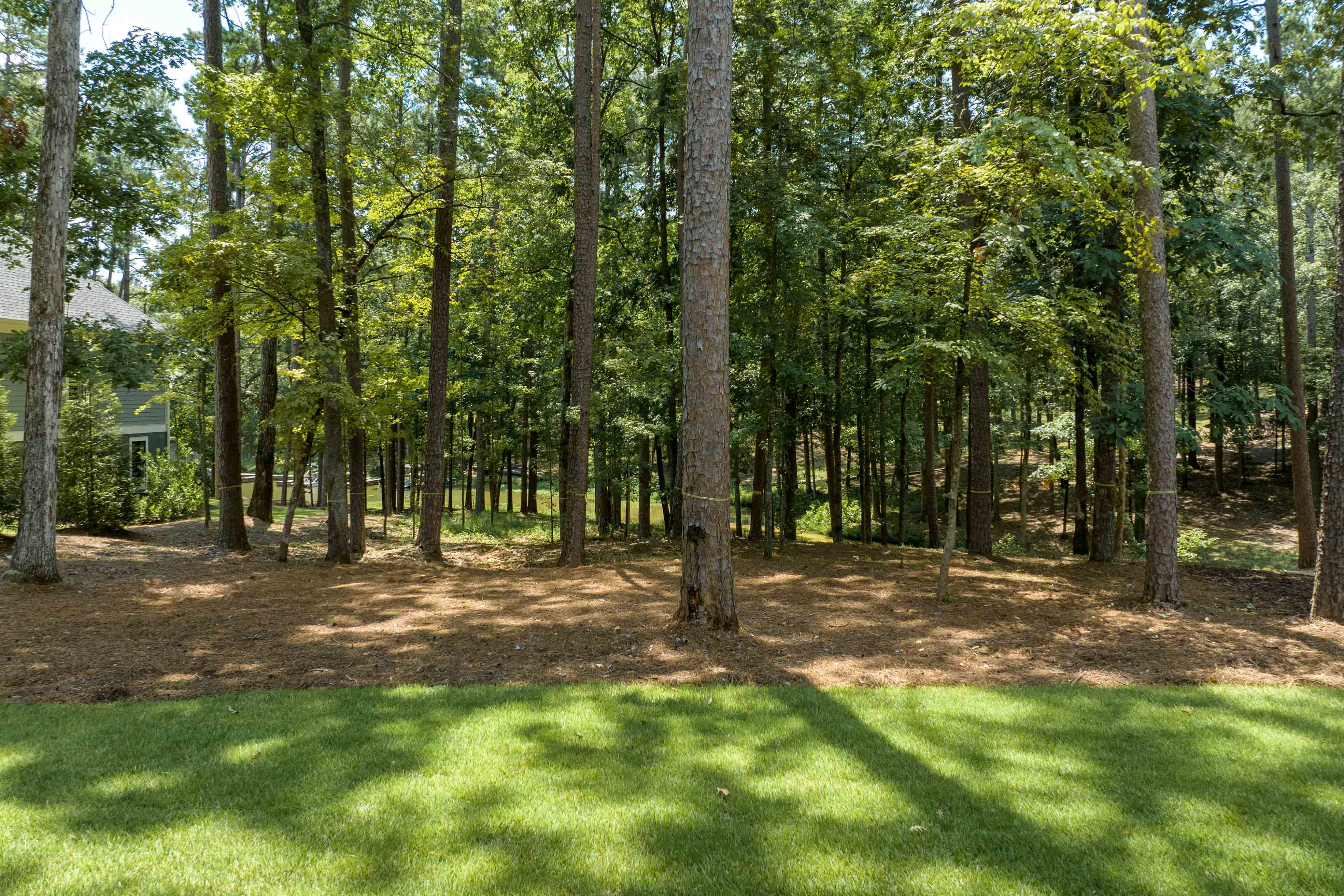 1121 Curtright Place image 39
